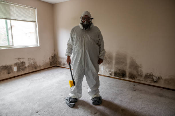 Soledad, CA Mold Removal Company